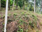 Land for Sale Nelundeniya