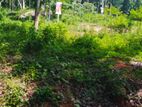 Land for Sale Nelundeniya