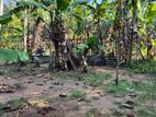 Land for Sale - Doranagoda