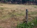 Land for Sale Nikaweratiya