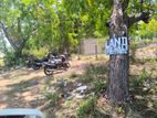 Land for Sale Nilavele Pulmoddai road