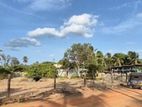 Land for Sale - Nilaweli Public Beach Trincomalee
