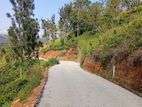 land for sale nillamba