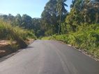Land for Sale Nillamba