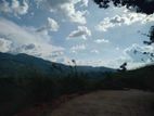 Land for Sale Nillamba