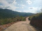 land for sale nillamba