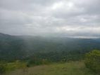 land for sale nillamba