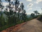 land for sale nillamba