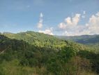 land for sale nillamba
