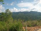 land for sale nillamba