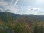 Land for Sale Nillamba