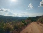 Land for Sale Nillamba