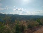 Land for Sale Nillamba