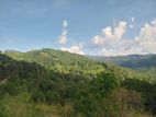 Land for Sale Nillamba