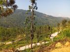 Land for Sale Nillamba