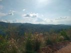 Land for Sale Nillamba