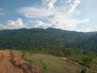 land for sale nillamba