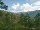 Land for Sale Nillamba