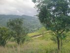 land for sale nillamba