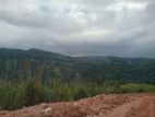 land for sale nillamba