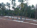 Land for Sale නිල්පනාගොඩ