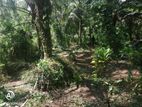 Land for Sale Nittabuwa