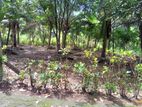 Land for Sale Nittabuwa