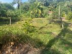Land for Sale Nittabuwa
