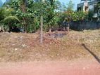 Land for Sale Nittambuwa