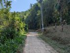 Land for Sale Nittambuwa