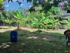 Land for Sale Niwandama