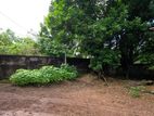 Land for Sale Nugegoda Ds3625