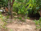 Land for Sale Nugegoda