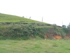 Land for sale Nuwara Eliya 7 km