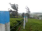 Land for sale Nuwara Eliya City