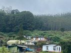Land for sale Nuwara Eliya City
