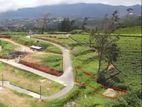 Land for Sale Nuwara Eliya City