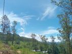 Land for Sale Nuwara Eliya