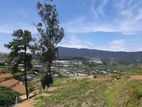 Land for Sale Nuwara Eliya