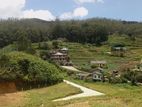 Land for Sale Nuwara Eliya