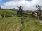 Land for Sale - Nuwara Eliya