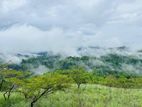 Land for sale Nuwara Eliya