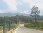 Land for sale Nuwara Eliya