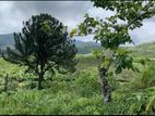 Land for sale Nuwara Eliya