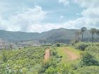 Land for sale Nuwara Eliya