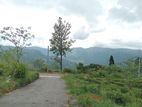 Land for sale Nuwara Eliya