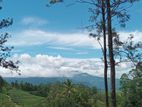 Land for sale Nuwara Eliya