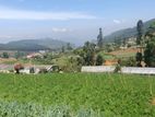 Land for Sale Nuwara Eliya