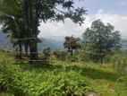 Land for Sale Nuwara Eliya