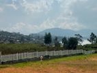 Land for Sale – Nuwara Eliya (Near Gregory Lake)